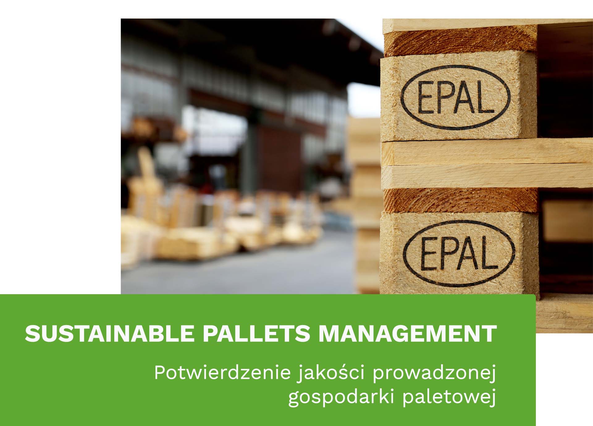 Sustainable Pallets Management - paleta EPAL w magazynie